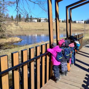 observation ruisseau 2 - Copie