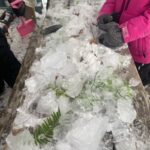 Fêtes des neiges,  cherche et trouve de glace